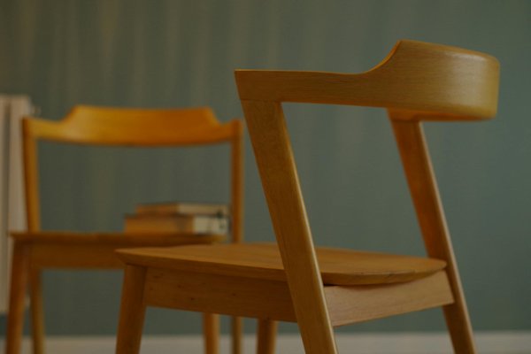 Votre Projet de Terrasse en Bois : Le Guide Complet pour la Réaliser Soi-Même !
