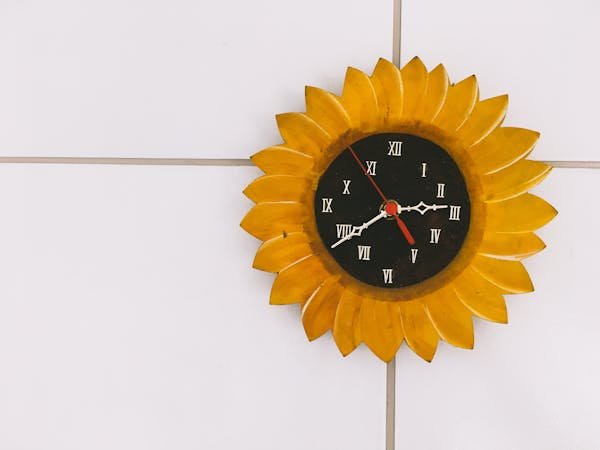 Découvrez les horloges murales au design unique sur Murs du Temps